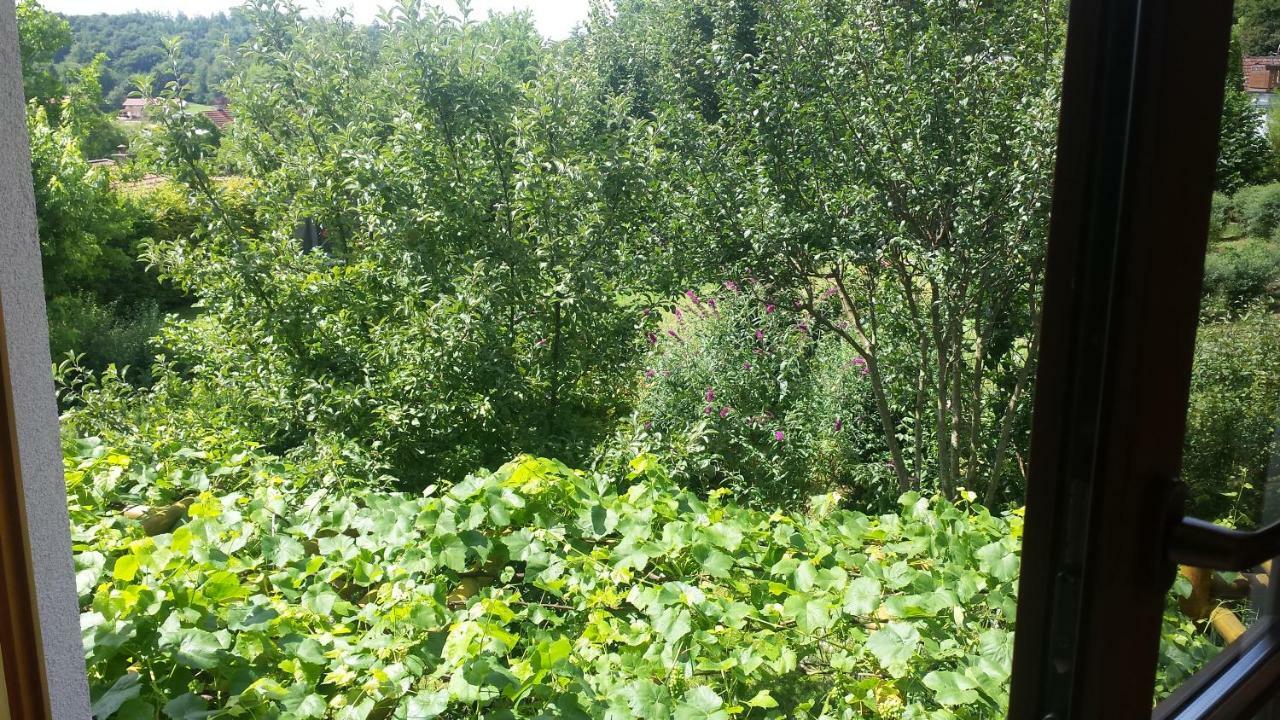 Gastezimmer Nahe Wesslinger See Zewnętrze zdjęcie